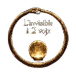 logo invisible deux voix2 removebg preview logo invisible deux voix2 removebg preview